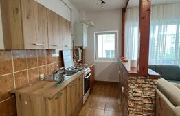 Apartament 2 camere, partial mobilat, zona Cetatii 