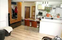 2 camere, 50 mp plus TERASA 60 mp, mobilat si utilat, imobil NOU