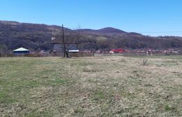 Teren extravilan 1.000 mp Valea Draganului