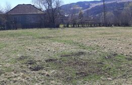 Teren extravilan 1.000 mp Valea Draganului