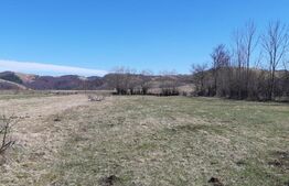 Teren extravilan 1.000 mp Valea Draganului