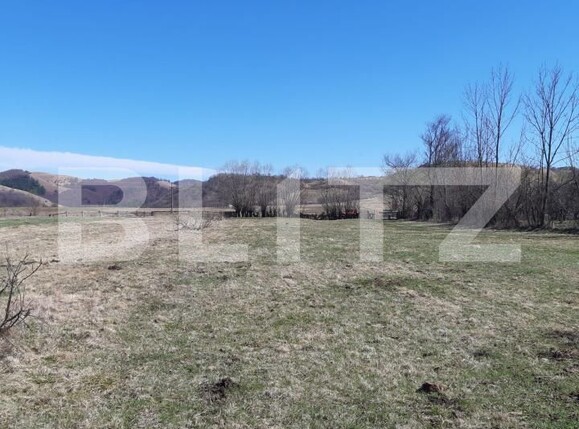 Teren de vânzare Valea Drăganului - 173005TV | BLITZ Cluj-Napoca | Poza1