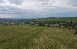 Teren extravilan 1249 mp in Copaceni! Oportunitate investitie!