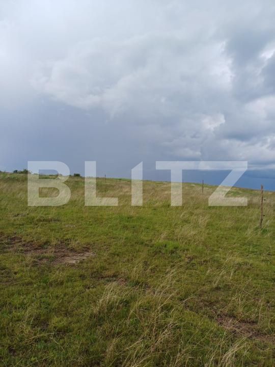 Teren de vânzare Copaceni - 173007TV | BLITZ Cluj-Napoca | Poza3