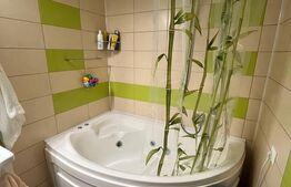 Apartament semidecomandat, etaj intermediar, zona Stejarului