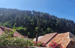 Casa renovata complet Schei, mobilata luminoasa curte individuala 