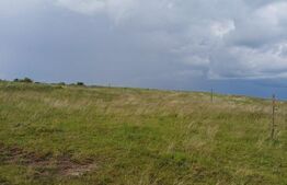 Teren extravilan 1248 mp in Copaceni! Oportunitate investitie!