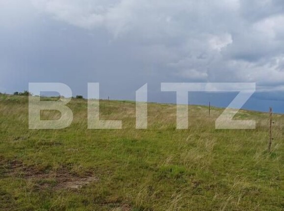 Teren de vânzare Copaceni - 173050TV | BLITZ Cluj-Napoca | Poza1