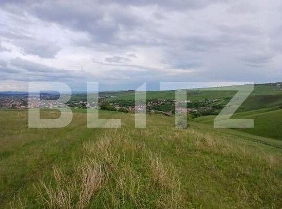 Teren de vânzare Copaceni - 173050TV | BLITZ Cluj-Napoca | Poza3