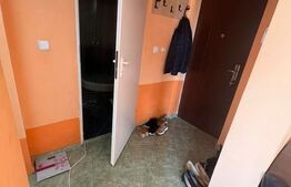Apartament cu 1 camera, zona Cetății.