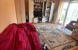 Apartament cu 1 camera, zona Cetății.