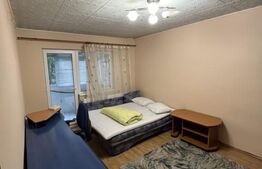 Apartament 2 camere, pet friendly, balcon, zona Bucium