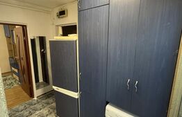 Apartament 2 camere, pet friendly, balcon, zona Bucium