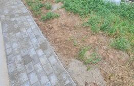 Posibilitate compartimentare 3 camere, gradina 80 mp, parcare, zona Sub Cetate