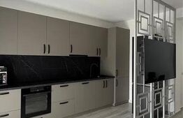 Casa individuala 3 camere, modern, curte, zona strazii Plevnei