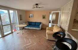 Apartament 2 camere, 70mp Terasa, petfriendly, Mihai viteazu