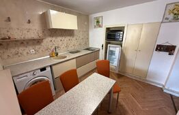 Apartament 2 camere, 70mp Terasa, petfriendly, Mihai viteazu