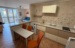 Apartament 2 camere, 70mp Terasa, petfriendly, Mihai viteazu