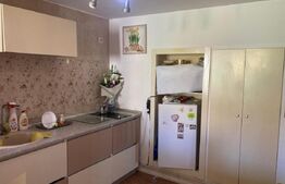 Apartament 2 camere, Pet Friendly, zona Mihai Viteazu
