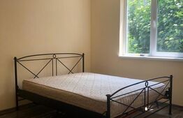 Casă P+M, teren generos 924 mp, Ideală pentru locuit + activitate profesionala