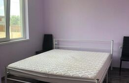 Casă P+M, teren generos 924 mp, Ideală pentru locuit + activitate profesionala