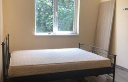 Casă P+M, teren generos 924 mp, Ideală pentru locuit + activitate profesionala