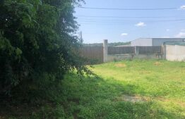 Casă P+M, teren generos 924 mp, Ideală pentru locuit + activitate profesionala