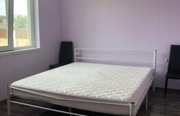 Casă P+M, teren generos 924 mp, Ideală pentru locuit + activitate profesionala