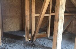 Casă P+M, teren generos 924 mp, Ideală pentru locuit + activitate profesionala