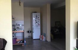 Casă P+M, teren generos 924 mp, Ideală pentru locuit + activitate profesionala