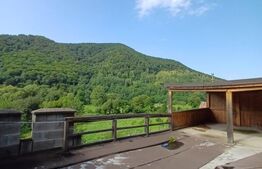 Oportunitate!!! Casa individuala la rosu, 247 mp, Teren 5000 mp in Surduc 