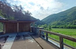 Oportunitate!!! Casa individuala la rosu, 247 mp, Teren 5000 mp in Surduc 