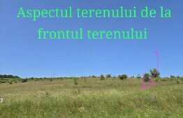 Teren intravilan construibil  in Salicea 