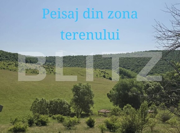 Teren de vânzare Salicea - 173270TV | BLITZ Cluj-Napoca | Poza3