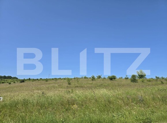 Teren de vânzare Salicea - 173270TV | BLITZ Cluj-Napoca | Poza6