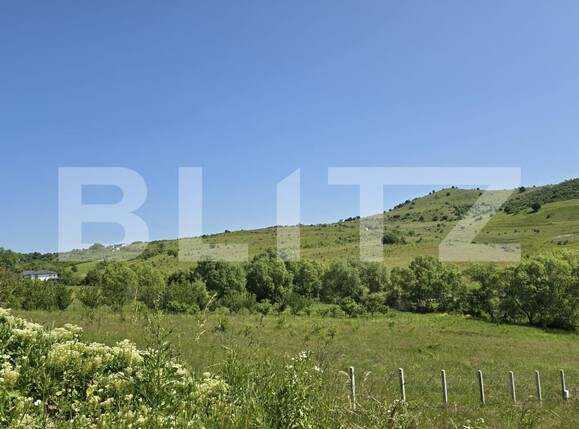 Teren de vânzare Salicea - 173270TV | BLITZ Cluj-Napoca | Poza7