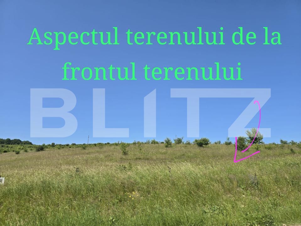 Teren de vânzare Salicea - 173270TV | BLITZ Cluj-Napoca | Poza2