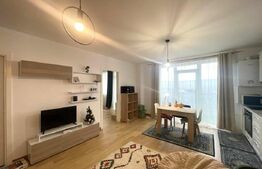 Apartament 2 camere, pet friendly, parcare, zona străzii Răzoare 