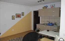 Vanzare 2 camere, 54 mp, balcon de 12 mp, POD, zona Stejarului! A.C. Parcare!