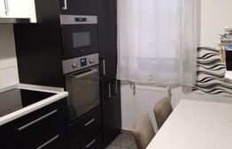 Apartament cu 3 camere, la cheie, etaj intermediar, zona Regal