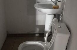 Spatiu stradal cu vitrina generoasa 