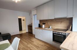 Apartament 2 camere, 38 mp, CF, Garaj, zona Terra