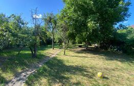 Casă veche de vânzare–Dâmbul Rotund, teren 800 mp, ideală pentru investiție RRM3