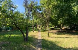 Casă veche de vânzare–Dâmbul Rotund, teren 800 mp, ideală pentru investiție RRM3