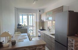 Apartament cu 2 camere, 63 mp, complet renovat si mobilat, zona Zorilor