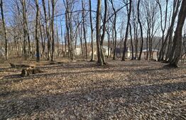 Teren cu sufrafata de 3000 mp in Padurea Faget