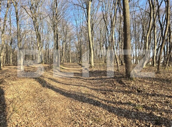 Teren de vânzare Făget - 173436TV | BLITZ Cluj-Napoca | Poza2