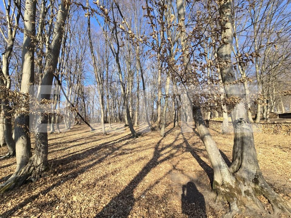 Teren de vânzare Făget - 173436TV | BLITZ Cluj-Napoca | Poza3