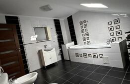 Ultracentral. Doua apartamente la casa , suprafata totala utila 150mp 