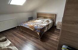 Ultracentral. Doua apartamente la casa , suprafata totala utila 150mp 